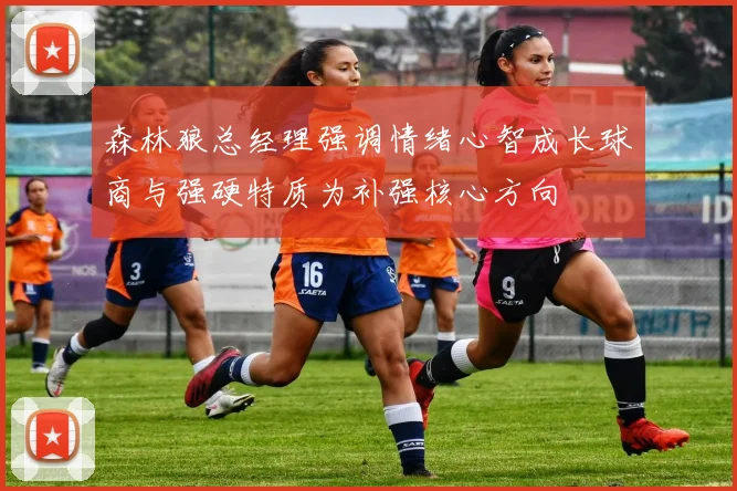 森林狼总经理强调情绪心智成长球商与强硬特质为补强核心方向