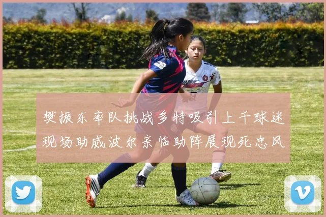 樊振东率队挑战多特吸引上千球迷现场助威波尔亲临助阵展现死忠风采